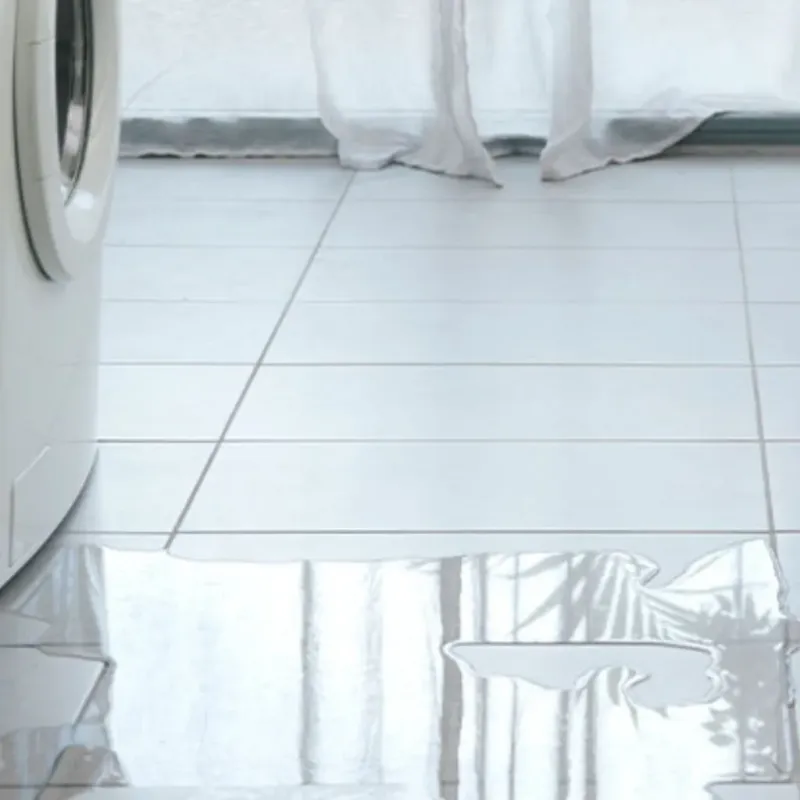 Appliance Leak Cleanup in Tyler County, WV