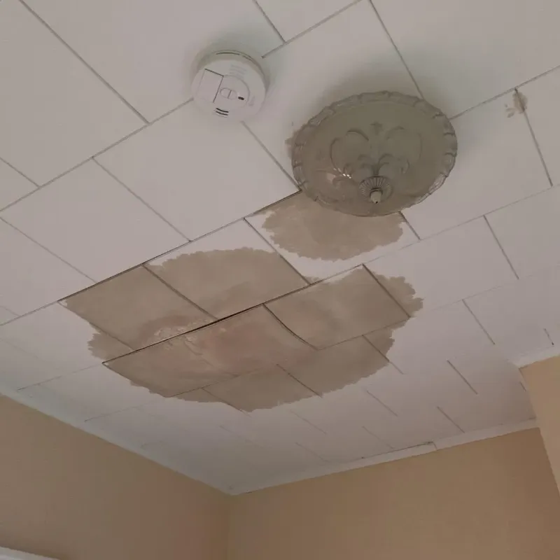 Ceiling Water Damage Repair in Tyler County, WV