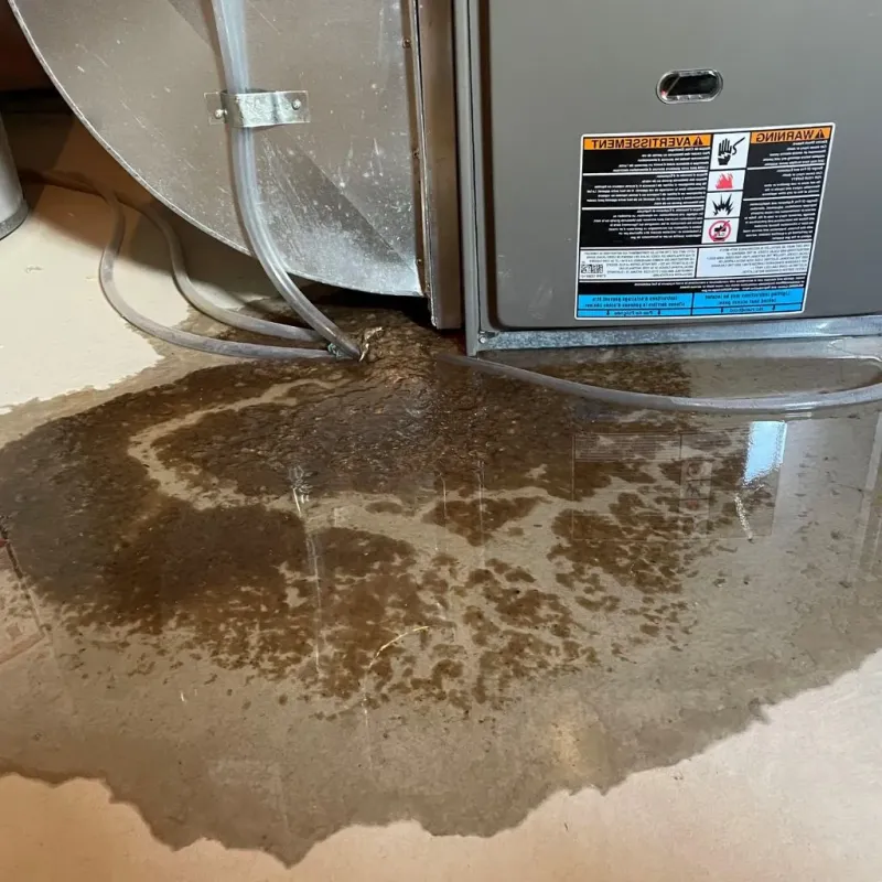 Pipe Burst and Leak Restoration in Tyler County, WV