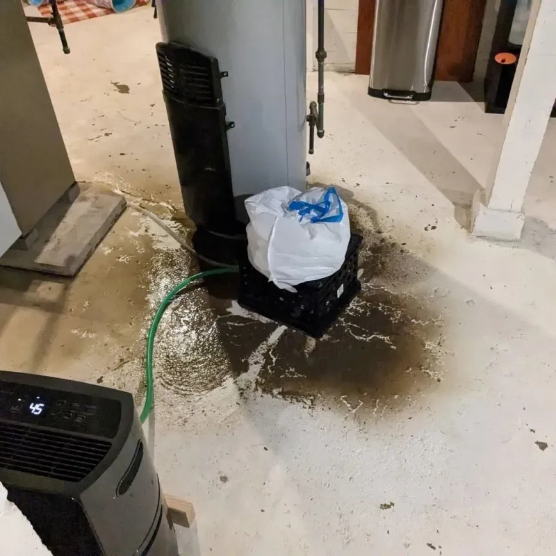 Sewage Backup Cleanup Service in Tyler County, WV